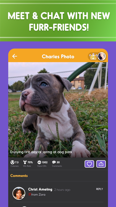 Pet Parade: Cutest Dogs & Cats free Gold and Silver hack
