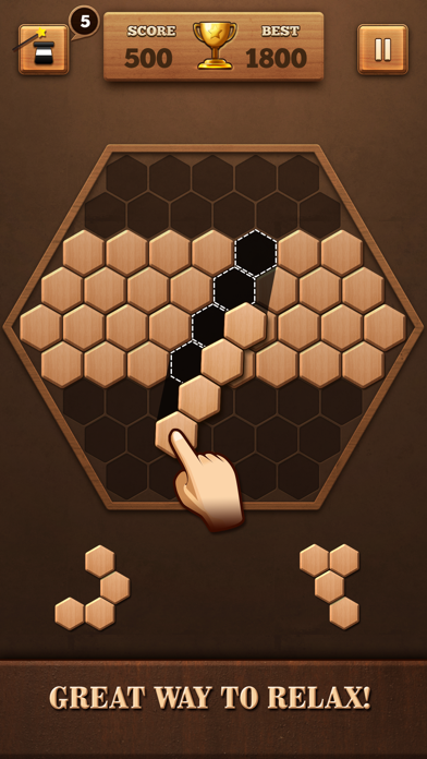 Wooden Hexagon Fit: Hexa Block screenshot 1