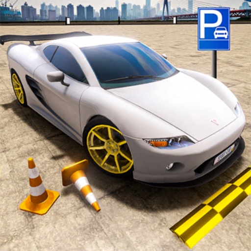 Car Parking Fun: Driving Test Icon