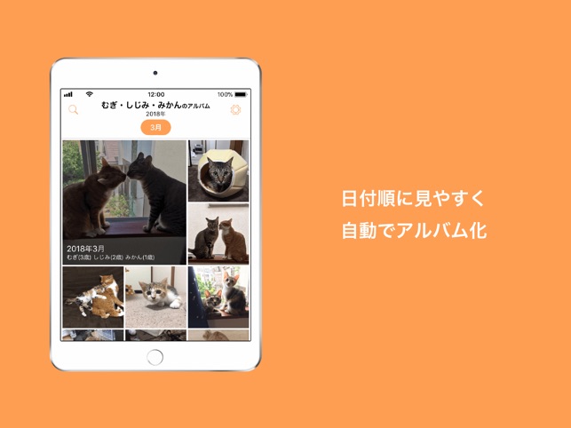 犬猫ペットの家族内アルバム 写真 動画 ぺっとる をapp Storeで