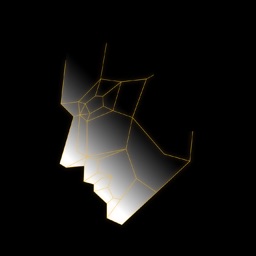 VAPS - PERSONALITY ANALYSIS