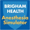 Brigham Anesthesia Simulator