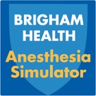 Brigham Anesthesia Simulator