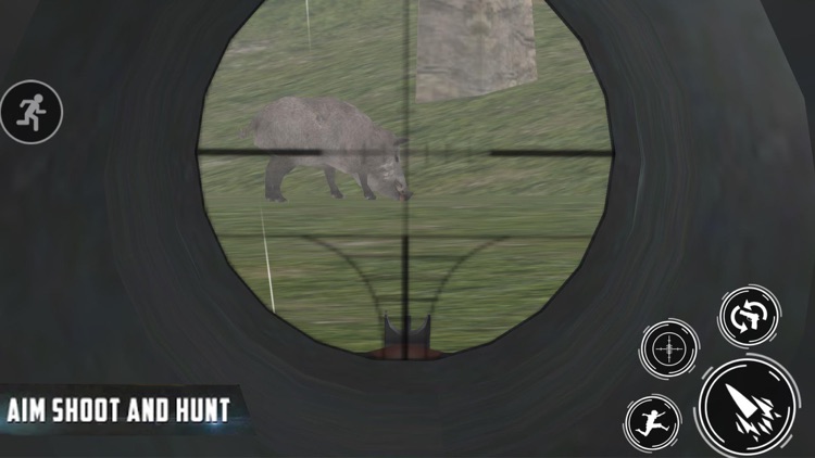 Wild Animal Shooter Expert