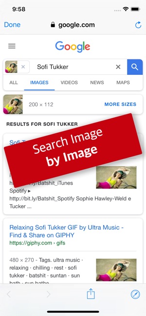 Reverse Image Search by Image