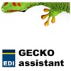 GECKO EDI assistant