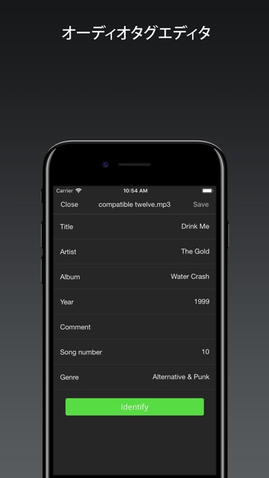 Evermusic Pro - オフライン音楽 screenshot1