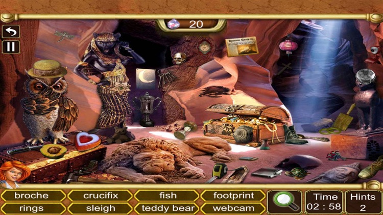 Hidden Objects : Owl Mystery