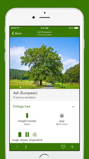 Trees 2 PRO(圖3)-速報App