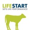 The LifeStart Calf Audit offers insight in the potential areas of improvement, through a list of questions and a dynamic calculation model