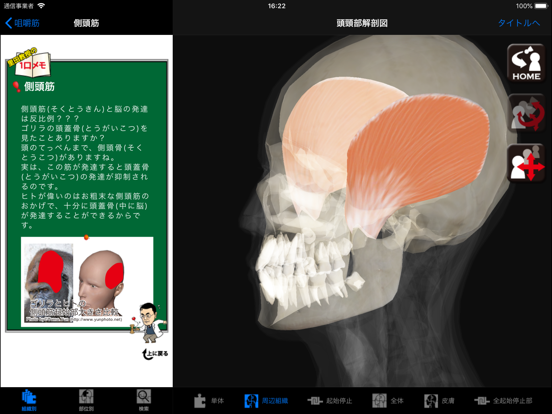 DS ANATOMY HEAD & NECKのおすすめ画像4