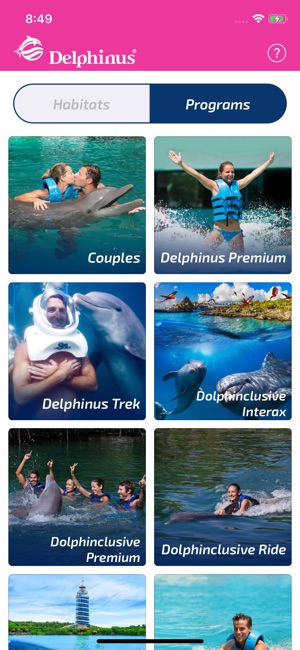 Delphinus(圖4)-速報App