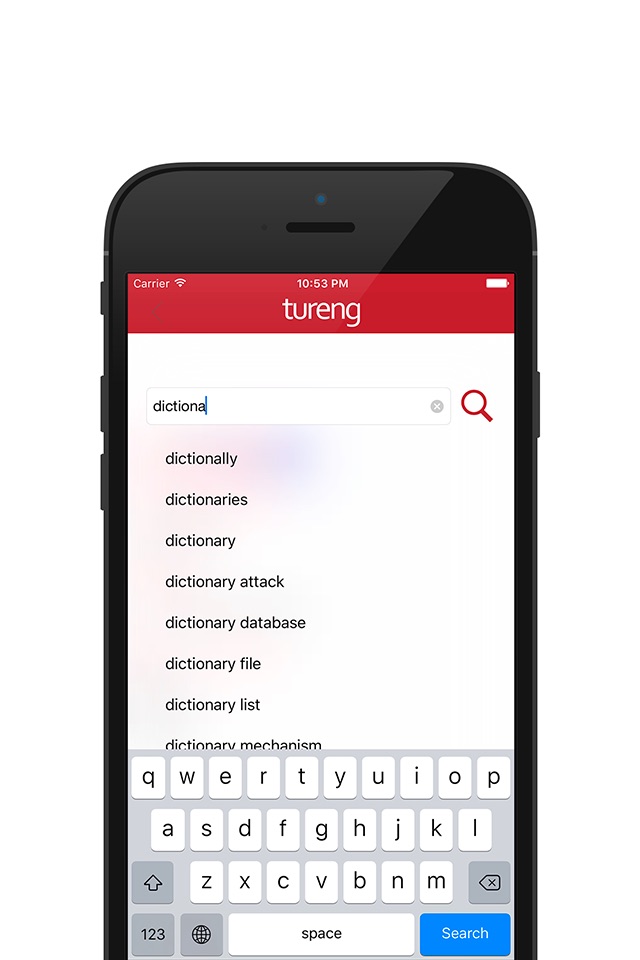 Tureng Dictionary screenshot 2