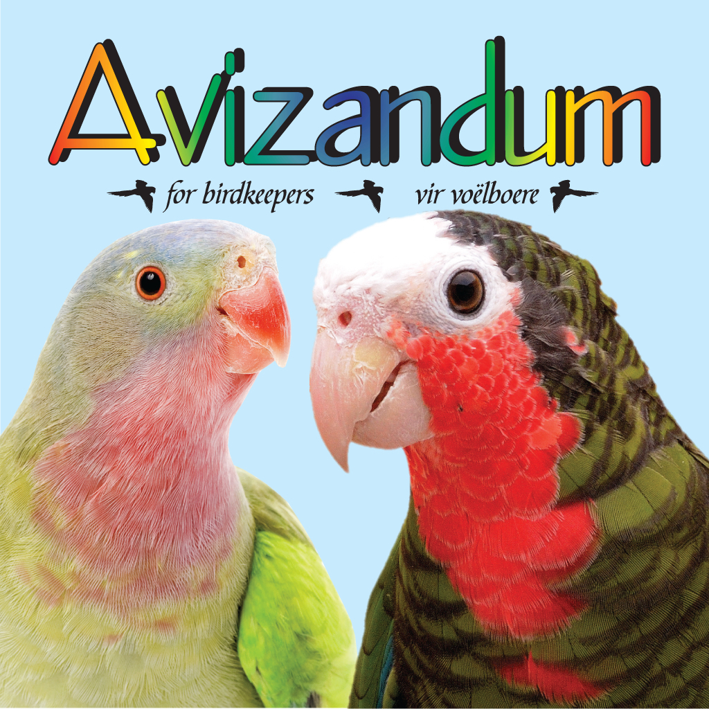 Get Avizandum for iOS, iPhone, iPad Aso Report