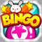 "Totally NEW Bingo Experience