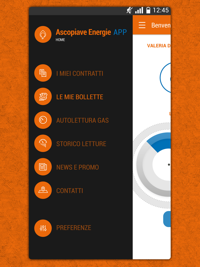 AscopiaveEnergie App gas luce