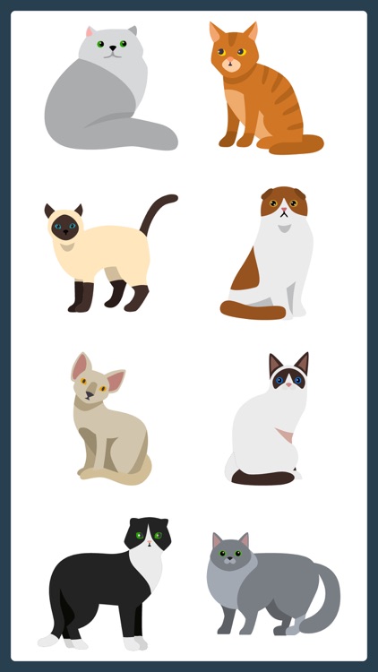 Purrrfect Meow Cat Sticker App