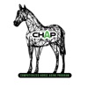 CHAP - Horse Aging Service