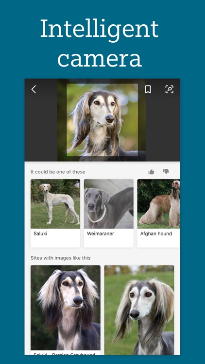 Bing Search
