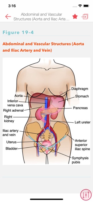 Nurses' HBK Health Assessment(圖4)-速報App