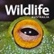 Wildlife Australia Magazine