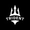 Download the Trident Elite Athletics app to easily book classes and manage your fitness experience - anytime, anywhere