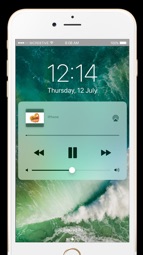 Silvestre FM 91,1 Captura de tela 3