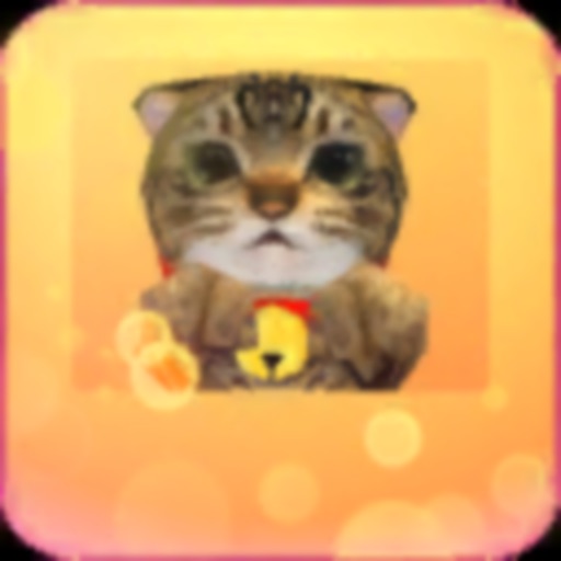 My Lovely Kitty Cat Icon