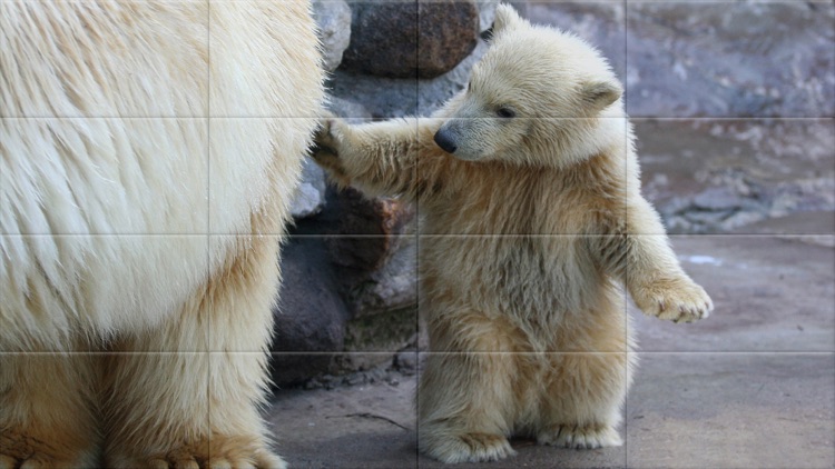 Tile Puzzle Baby Animals screenshot-4