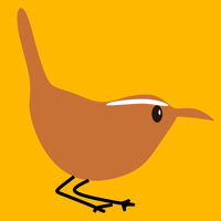 Bay Area Bird Experience