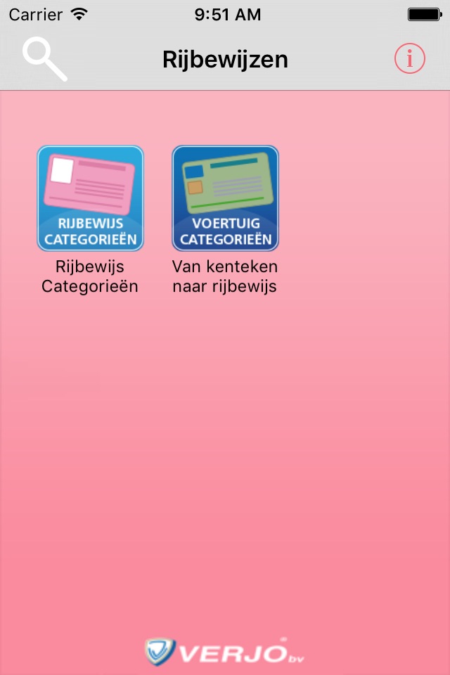 Rijbewijzen screenshot 2