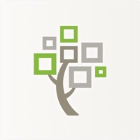 FamilySearch Träd