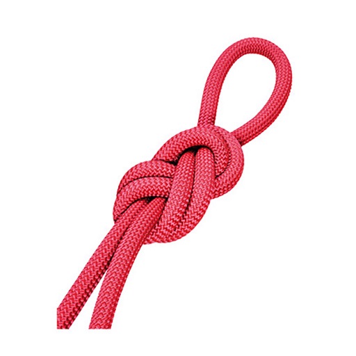 Knot learning