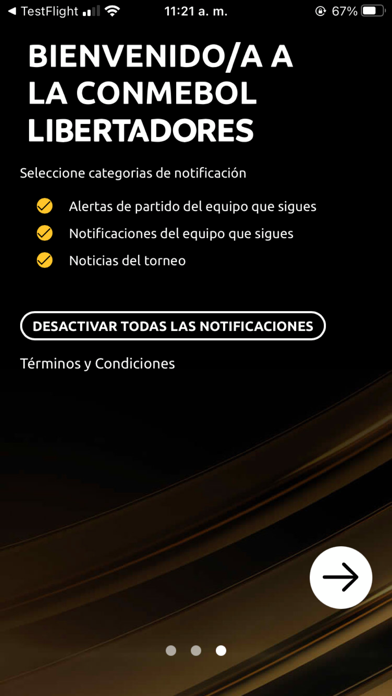 CONMEBOL Libertadores screenshot 3