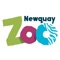 Newquay Zoo offers the opportunity to get close to over 1,000 of the world’s rarest and endangered animals