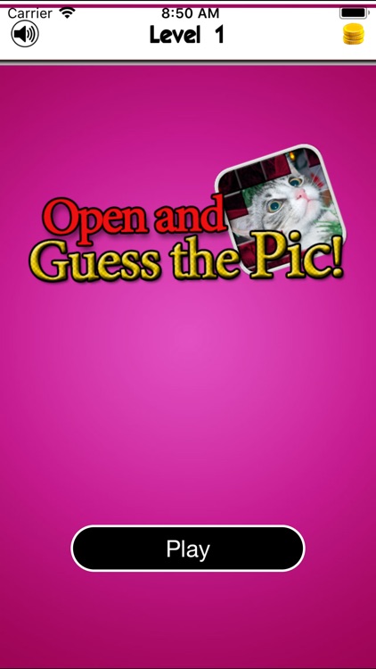 Open and Guess the Picture