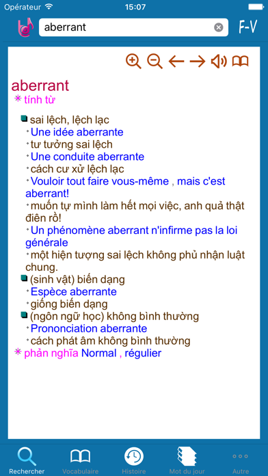 Français - Vietnamien Dic