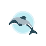 Hectors Dolphin Sightings
