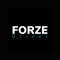 FORZE is a transportation app designed to offer affordable and reliable rides