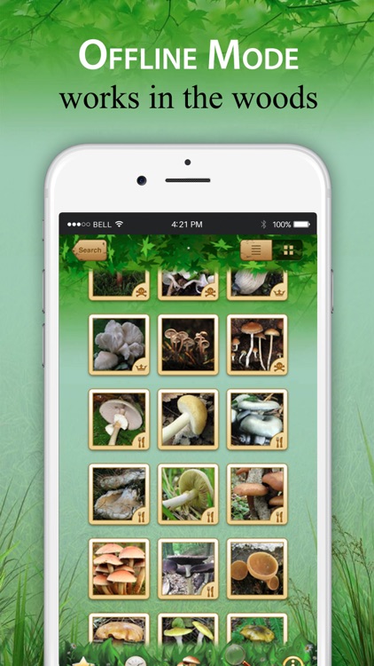 Mushroom Identification &Guide screenshot-3