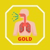 Icon GOLD Criteria for COPD