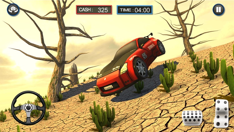 Offroad Stunt Rally asphalt