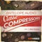 Antelope’s classic compressors are authentic recreations of the most sought-after hardware compressors available on the market