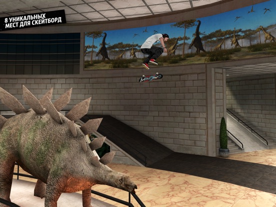 Skateboard Party 3 Pro для iPad