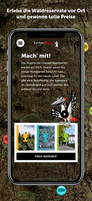 Glarner Waldperlen(圖3)-速報App