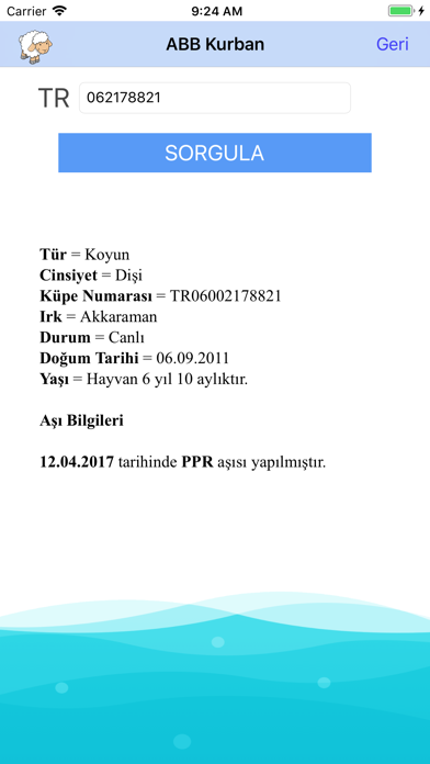 Ankara Kurban screenshot 3