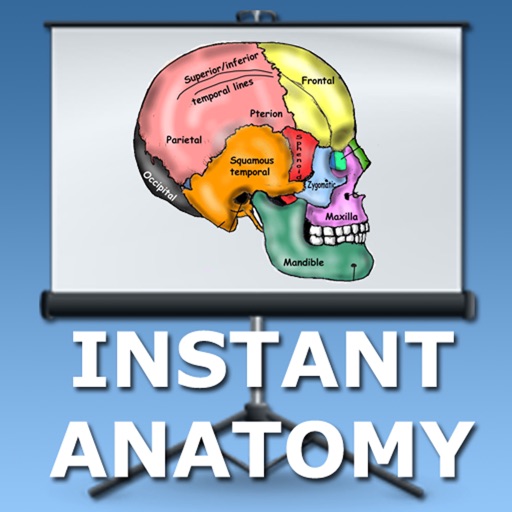 Anatomy Lectures Head and Neck