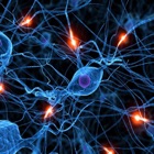 Top 40 Education Apps Like Human Nervous System Trivia - Best Alternatives