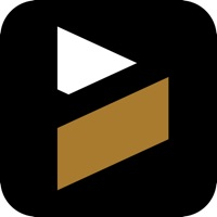 VM Invest на пк