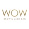 Icon Wow Brow and Lash Bar